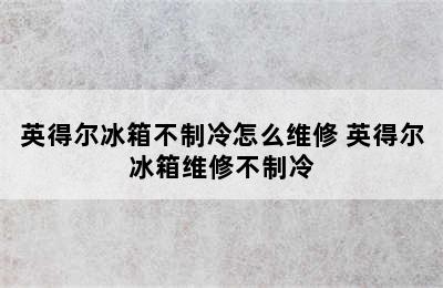 英得尔冰箱不制冷怎么维修 英得尔冰箱维修不制冷